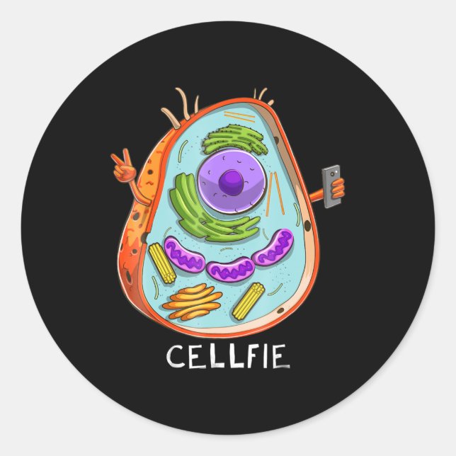 cell fie biology  cellular biology science teacher classic round sticker (Front)