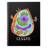 cell fie biology  cellular biology science teacher