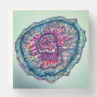 Cell Mandala Wood Box Sign