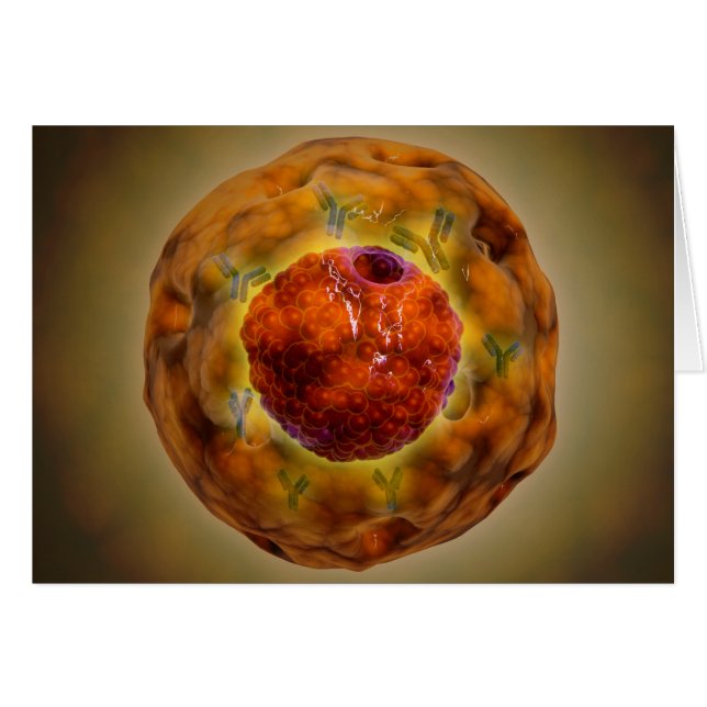 Cell Nucleus With Chromosome 3 (Front Horizontal)