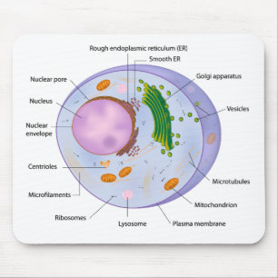 Cell structure mousepad