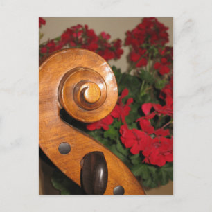 Cello Scroll Flowers postcard