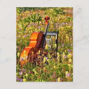 Cello with chair in a field of wildflowers postcard