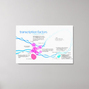 Cells Gene Transcription Factors Diagram Canvas Print