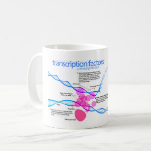 Cells Gene Transcription Factors Diagram  Coffee Mug