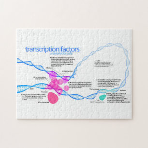 Cells Gene Transcription Factors Diagram Jigsaw Puzzle