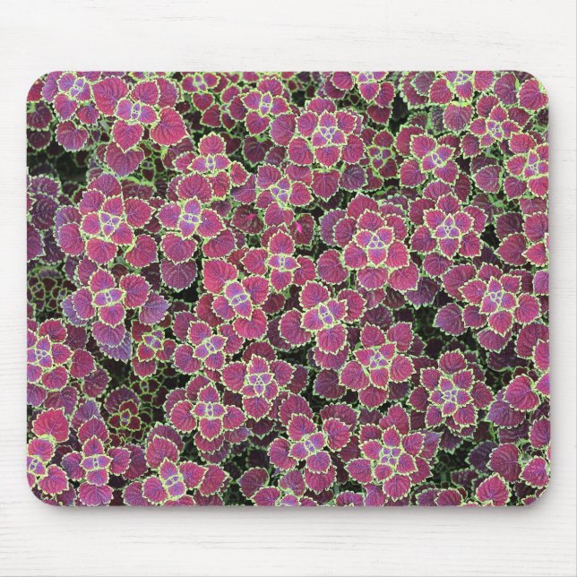 cellular mouse mat (Front)