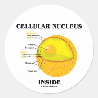Cellular Nucleus Inside (Cell Biology) Classic Round Sticker