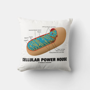 Cellular Power House Mitochondrion Cushion