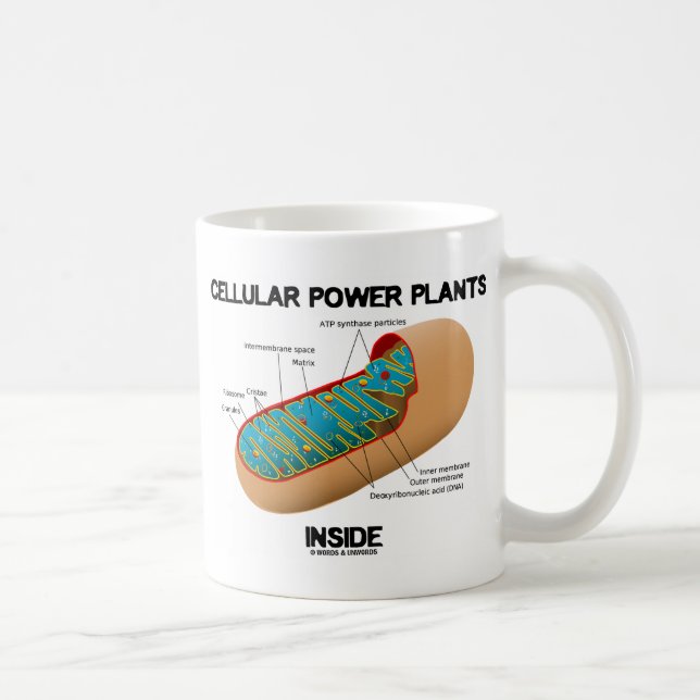 Cellular Power Plants Inside (Mitochondrion) Coffee Mug (Right)