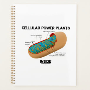 Cellular Power Plants Inside Mitochondrion Planner