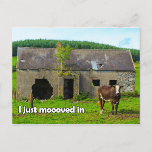 Celtic Ireland I just moooved in cow postcard