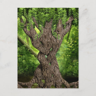 Celtic Knot Tree Postcard