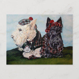 Celtic Scottish Terriers Postcard