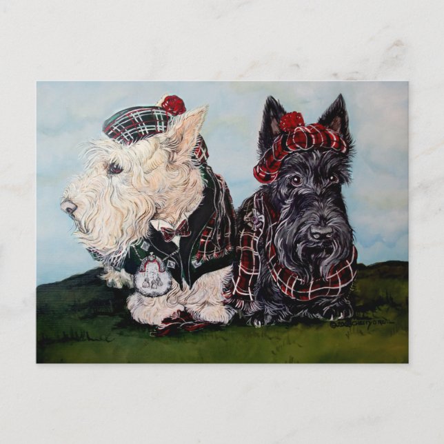 Celtic Scottish Terriers Postcard (Front)
