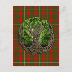 Celtic Tree Of Life And Clan MacGregor Tartan Postcard