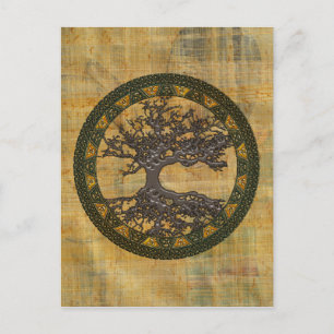 Celtic Tree of Life [Yggdrasil] Postcard