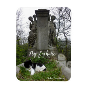 Cemetery Cat (Pere Lachaise) Magnet