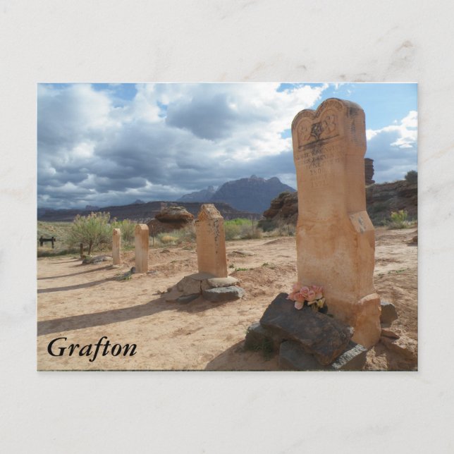 Cemetery - Grafton Postcard (Front)