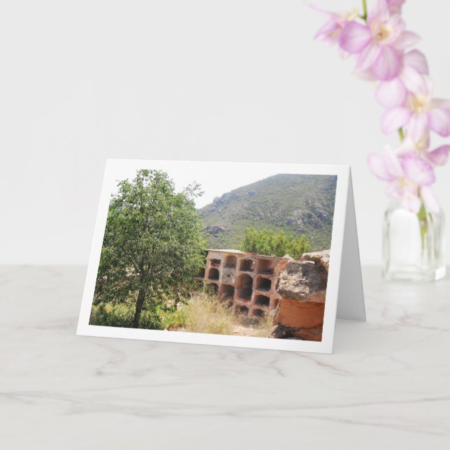 Cemetery of Old Domeño, Domeño Viejo, Valencia Card (Orchid)