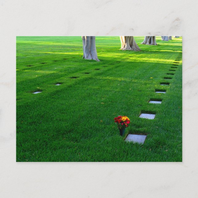 Cemetery Postcard (Front)