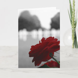 Cemetery & Red Rose - Memorial Day Card