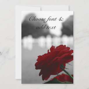 Cemetery & Red Rose - Memorial Day Card