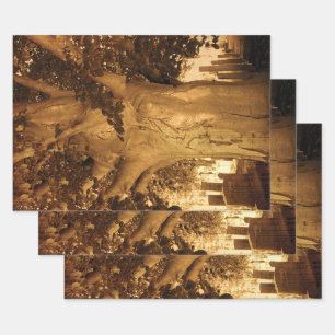 Cemetery Vintage Antique Sepia Tree Sheet Music