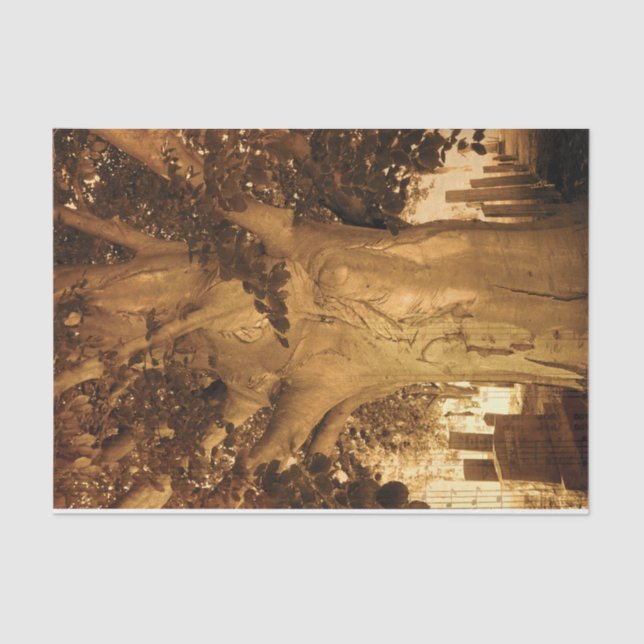 Cemetery Vintage Antique Sepia Tree Sheet Music (Front)