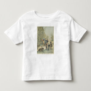 Census of Travellers in France Toddler T-Shirt