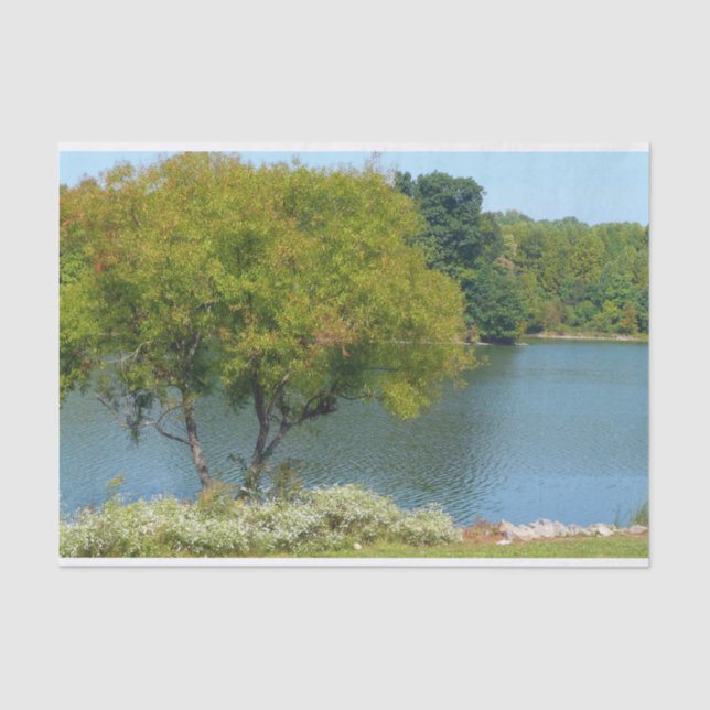 Centennial Lake in Ellicott City Maryland Tissue Paper (Front)