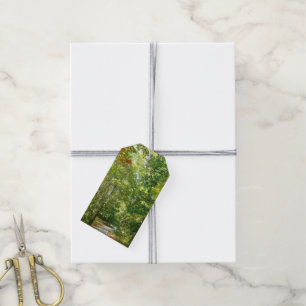 Centennial Wooded Path I Ellicott City Nature Gift Tags