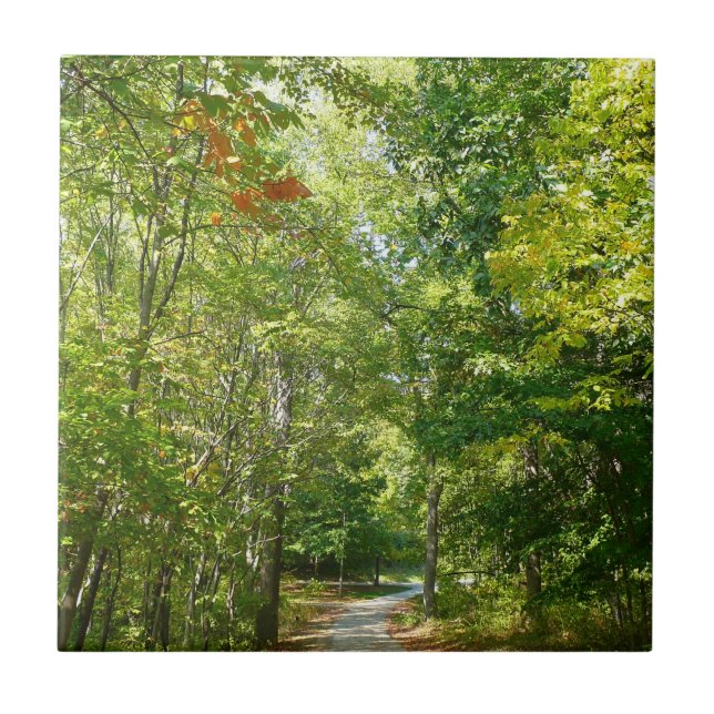 Centennial Wooded Path I Ellicott City Nature Tile (Front)