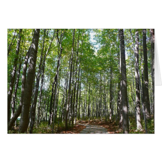 Centennial Wooded Path II Ellicott City Maryland (Front Horizontal)