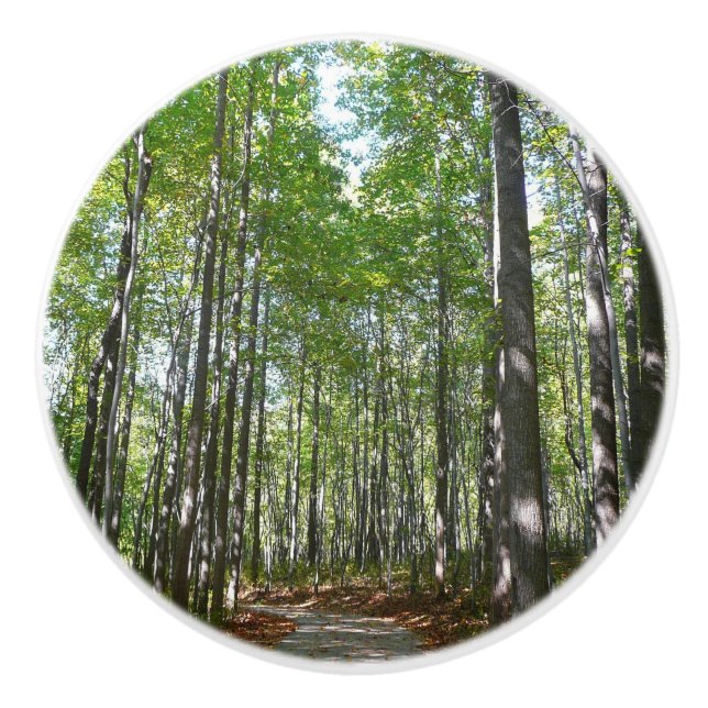 Centennial Wooded Path II Ellicott City Maryland Ceramic Knob (Front)