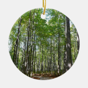 Centennial Wooded Path II Ellicott City Maryland Ceramic Tree Decoration