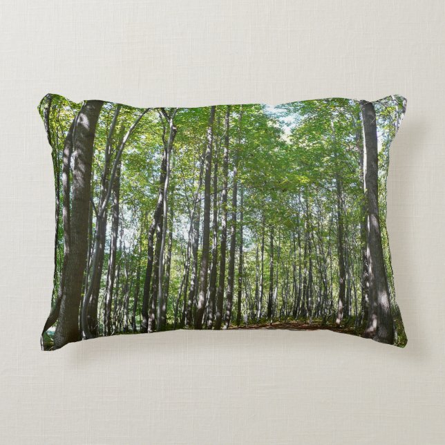 Centennial Wooded Path II Ellicott City Maryland Decorative Cushion (Front)