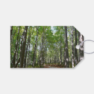 Centennial Wooded Path II Ellicott City Maryland Gift Tags