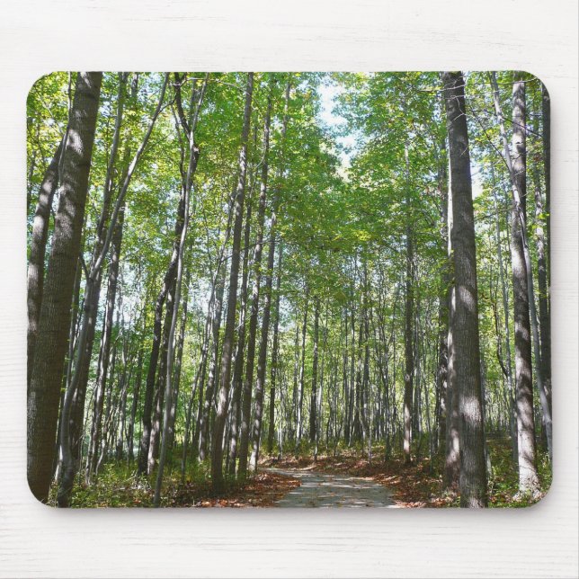 Centennial Wooded Path II Ellicott City Maryland Mouse Mat (Front)