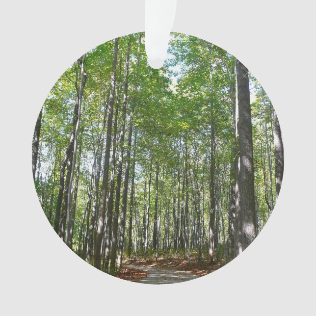 Centennial Wooded Path II Ellicott City Maryland Ornament (Front)