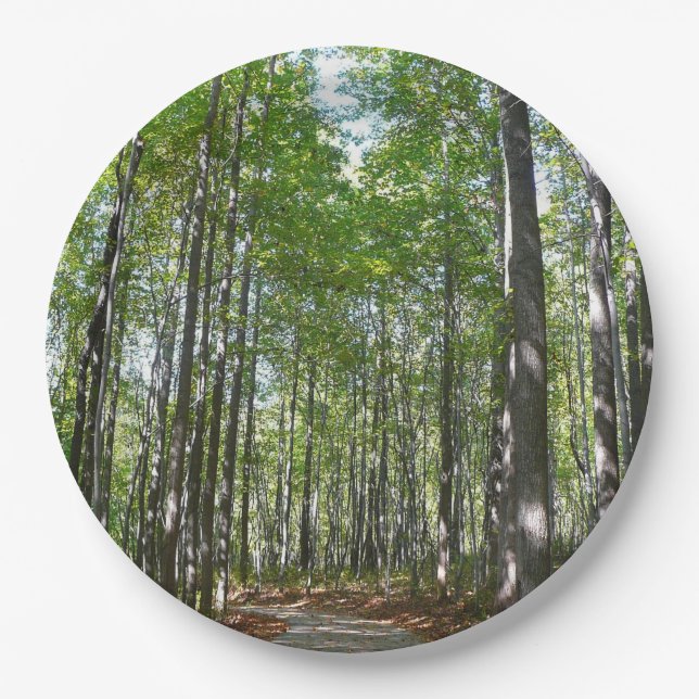 Centennial Wooded Path II Ellicott City Maryland Paper Plate (Front)