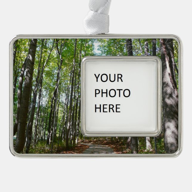 Centennial Wooded Path II Ellicott City Maryland Silver Plated Framed Ornament (Front)