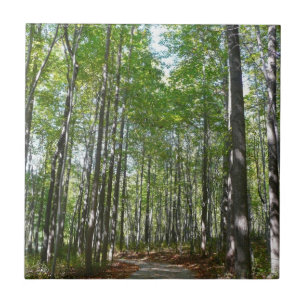 Centennial Wooded Path II Ellicott City Maryland Tile