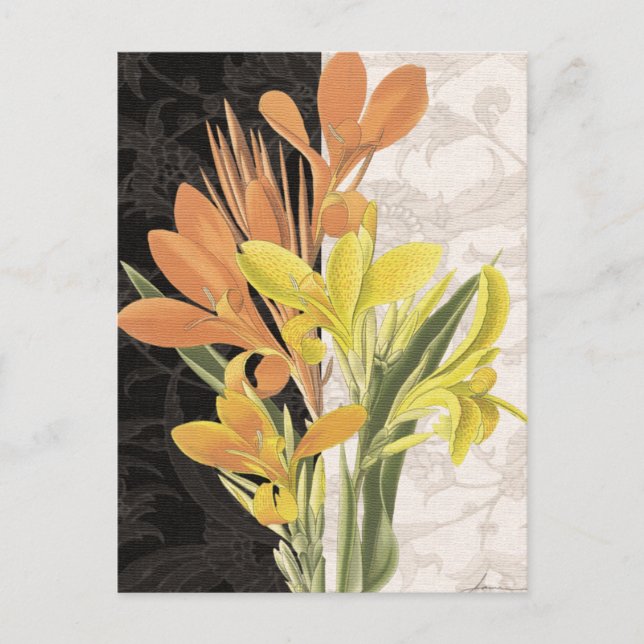 Centerpiece I Postcard (Front)