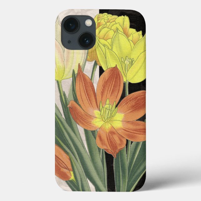 Centerpiece II Case-Mate iPhone Case (Back)