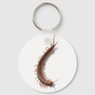 Centipede Key Ring