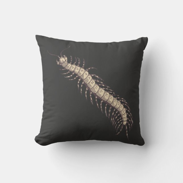 Centipede Pillow (Front)
