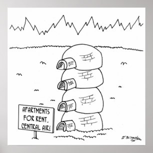 Central Air in Igloos Poster