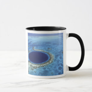 CENTRAL AMERICA, Belise, Large coral reefs off Mug