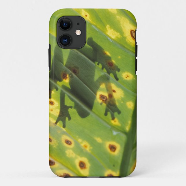 CENTRAL AMERICA, Costa Rica, Back-lit frog on Case-Mate iPhone Case (Back)